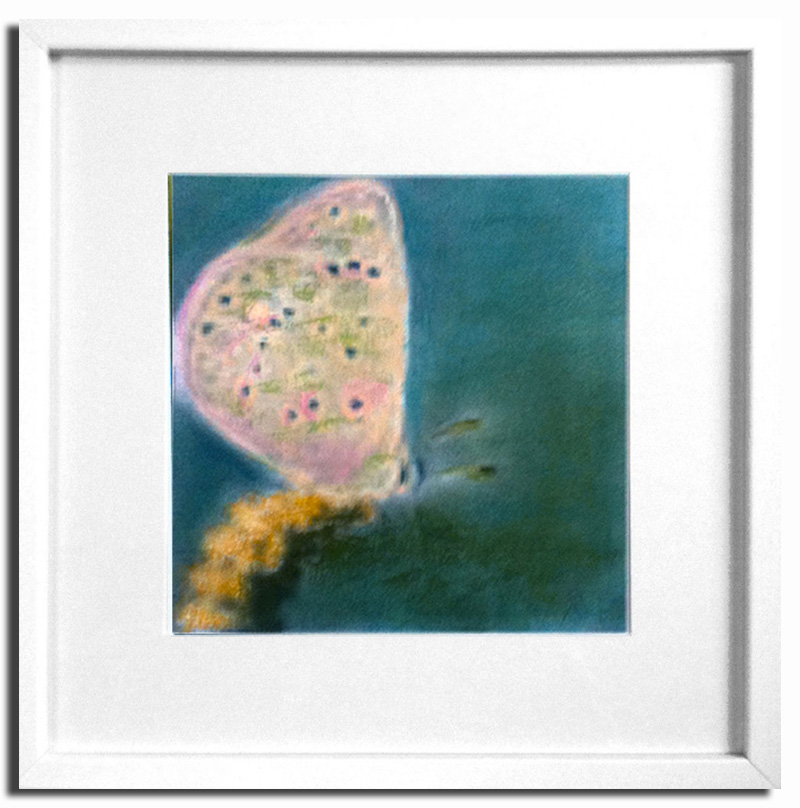 Papillon Pastel sec 20x20cm Encadré sous-verre (Disponible)